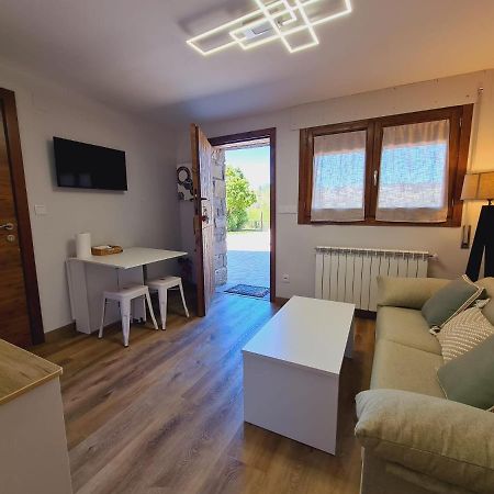 Ferienwohnung Puente Viejo Santa Cilia de Jaca Exterior foto